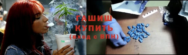 стафф Алзамай