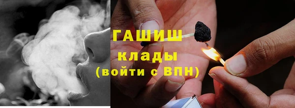 прущие грибы Абдулино