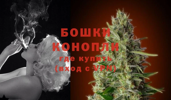 твердый Вяземский