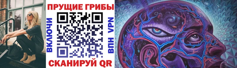 Псилоцибиновые грибы мухоморы  сколько стоит  МЕГА зеркало  Пыталово 